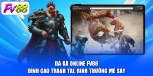 Đá Gà Online FV88 - Đỉnh Cao Tranh Tài, Rinh Thưởng Mê Say